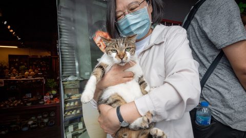 Taiwan president Tsai Ing wen holds cat
