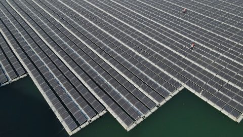 Fishery solar Hybrid Project in Zaozhuang
