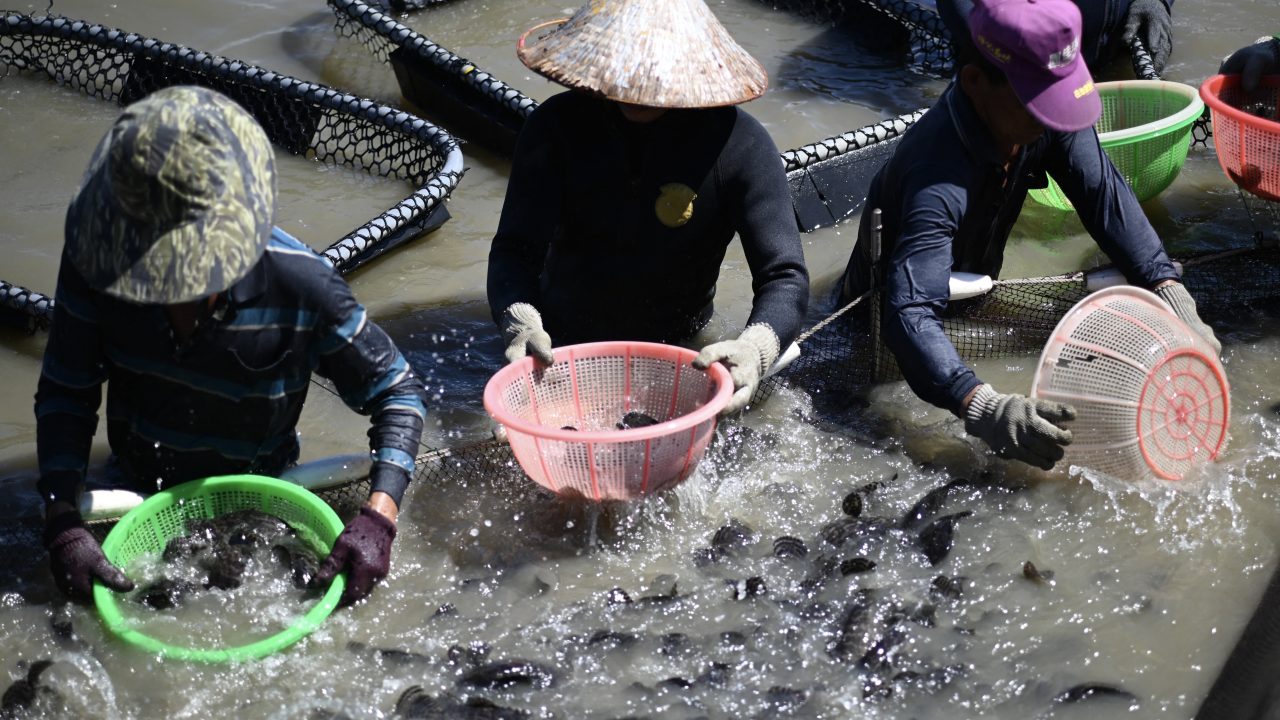 TAIWAN CHINA POLITICS ECONOMY SANCTIONS